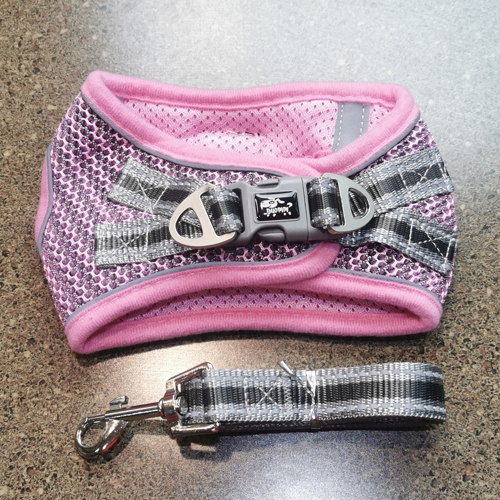 Small Dog / cat Harness Pink Grey Gray reflective velcro clip Duomm leas…